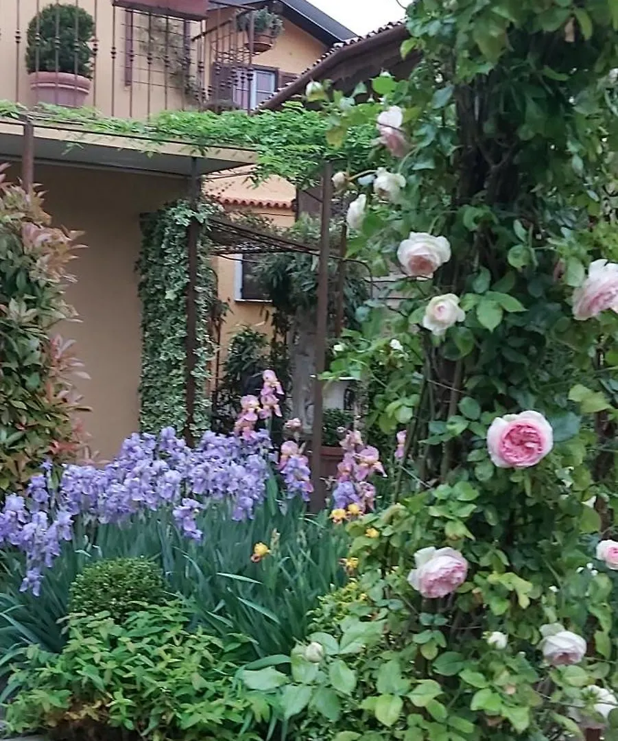 Suite Vista Panoramica Giardino E Montagne Magreglio Itálie